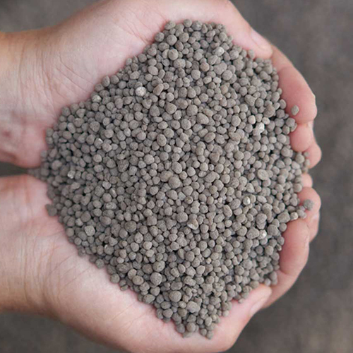 DAP Fertilizer